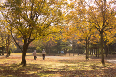 秋の公園での一コマ