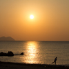 海辺の夕景