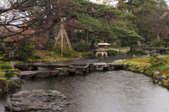 雨の兼六園