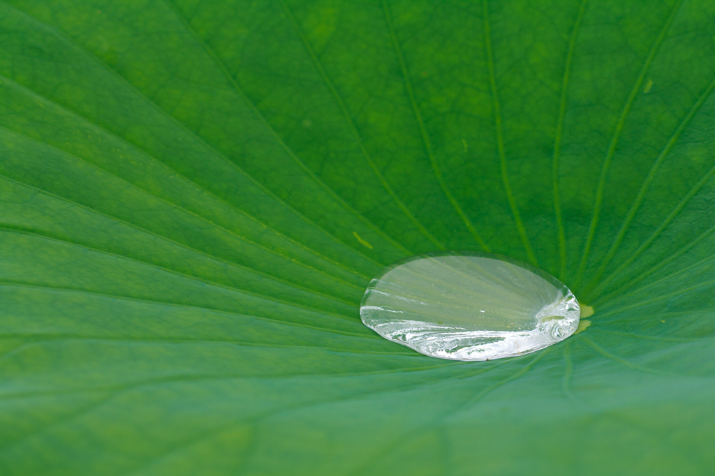 雨上がり
