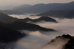 小入谷の雲海