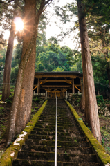 名田庄・加茂神社
