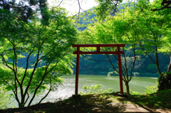 新緑の武周ヶ池と鳥居