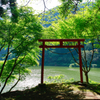 新緑の武周ヶ池と鳥居