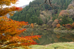 秋の武周ヶ池