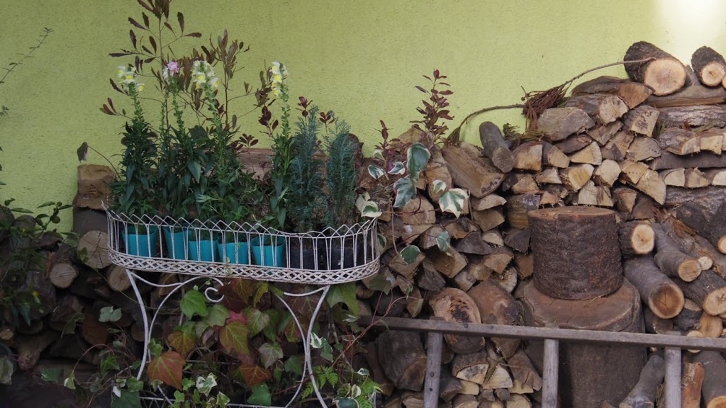 firewood