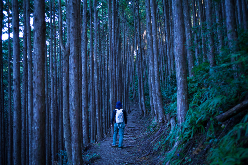 秋の旅路