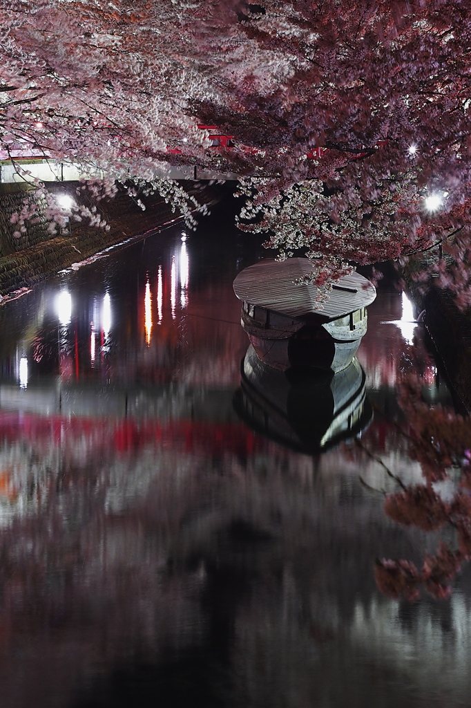 夜桜と船