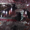 夜桜と船