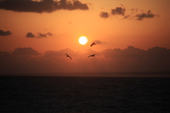夕焼け