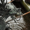 手水舎の波紋