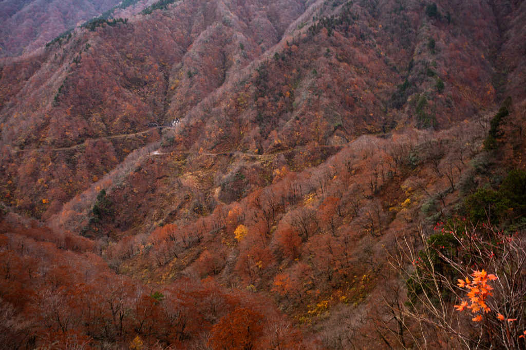 冠峠