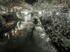 川と舟と、夜桜