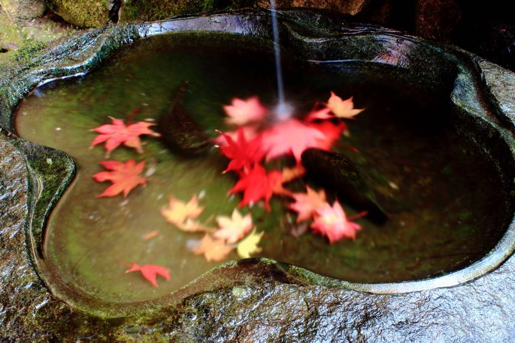 もうひとつの紅葉