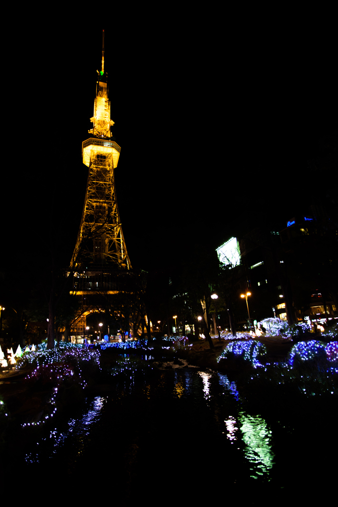 AKARI NIGHT × 名古屋テレビ塔