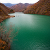 紅葉と緑の湖面