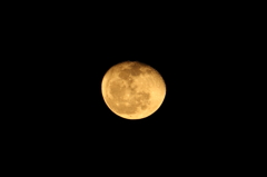 月の初撮り
