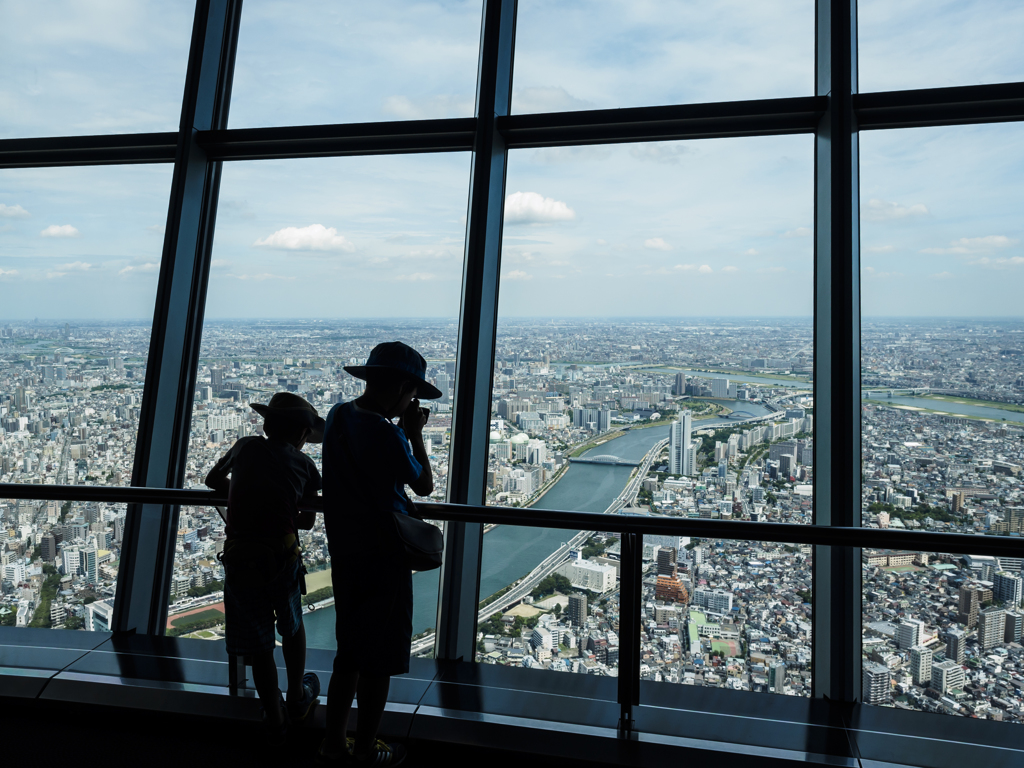 東京観察中