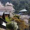 色彩鮮やかに