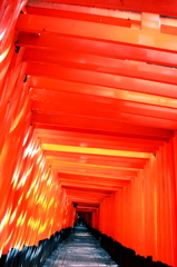 赤の回廊
