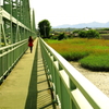 Green Bridge