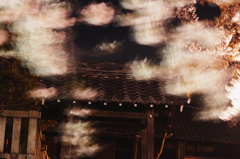 夜桜　舞う