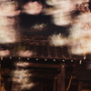 夜桜　舞う
