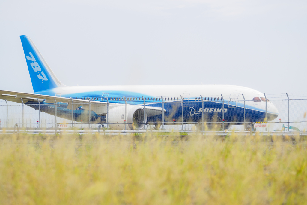 787飛行試験機