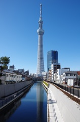 スカイツリー 晴天