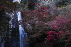 箕面の滝