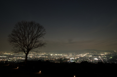 夜の奈良市