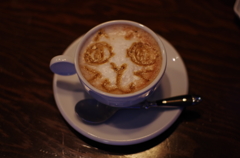 猫カフェにて