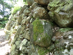 CIMG0728