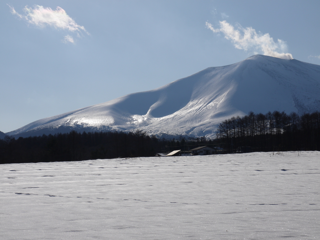 輝く山肌