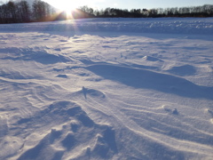 雪紋