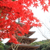 醍醐寺