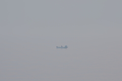 霧