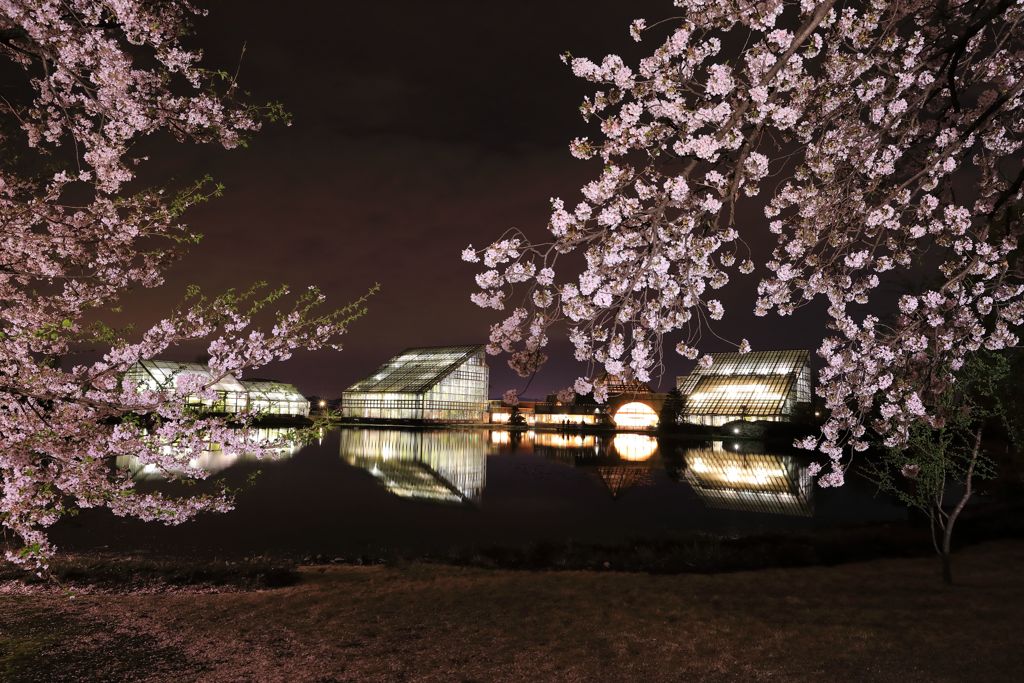 中央植物園