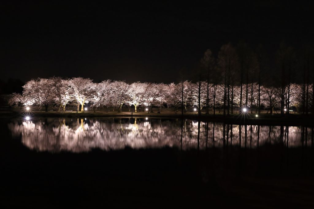 中央植物園
