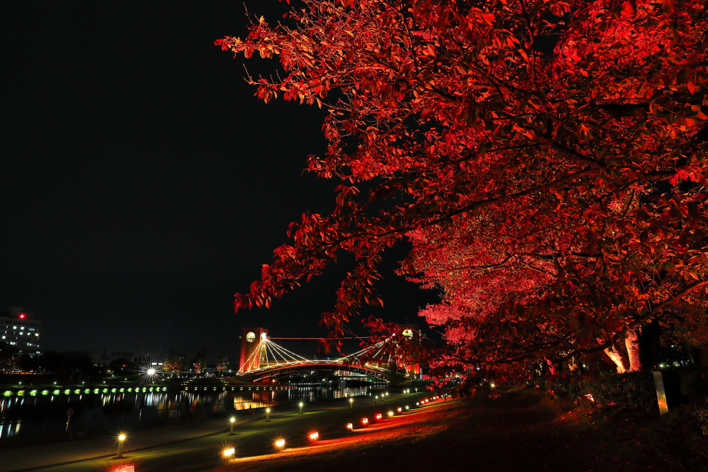 環水公園