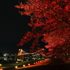 環水公園
