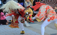 IMG_5006