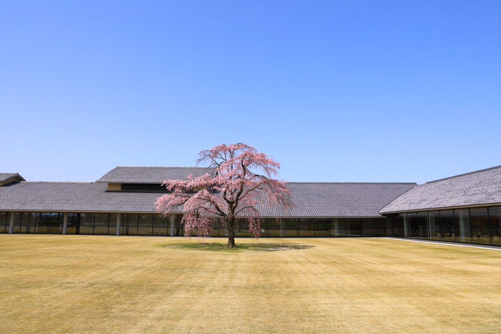 富山県水墨美術館