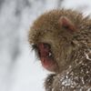IMG_0482