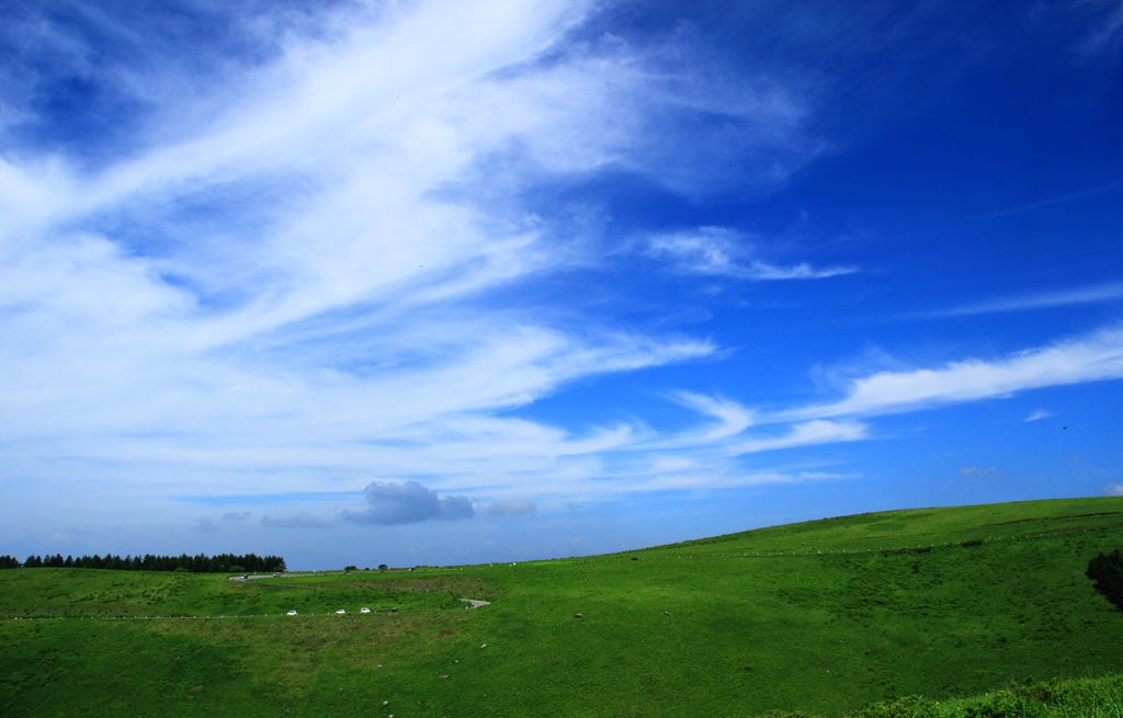 ビィーナスライン