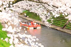 松川べり