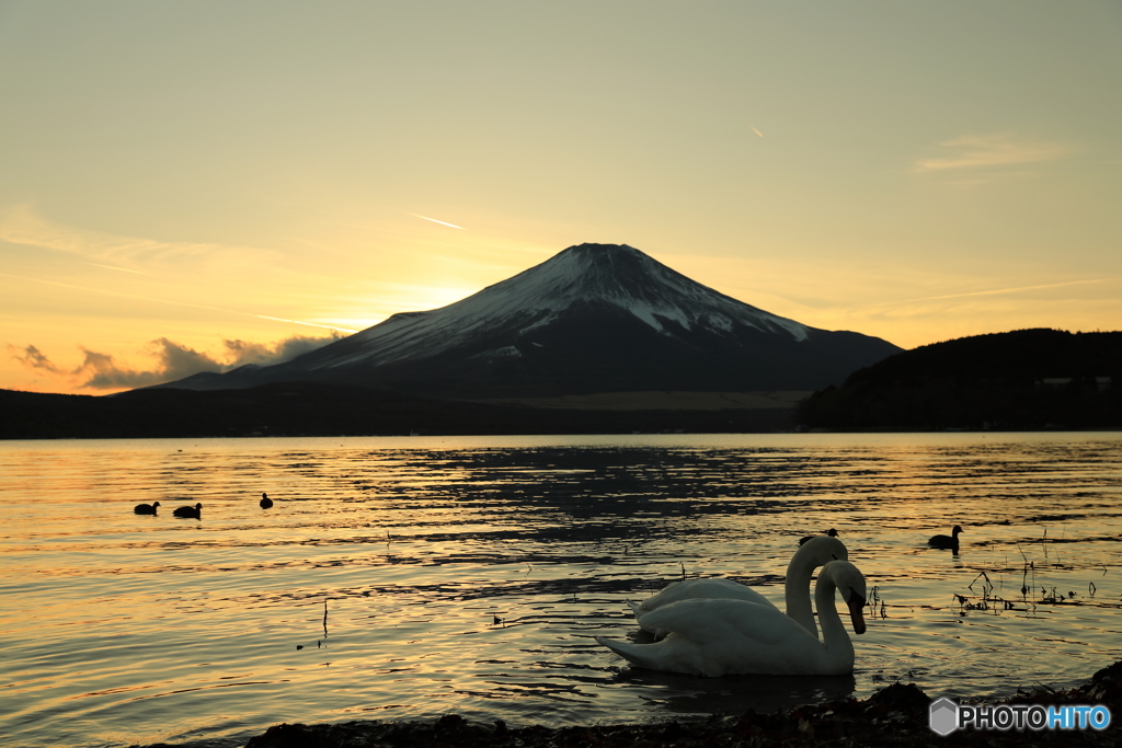 富士山　山中湖