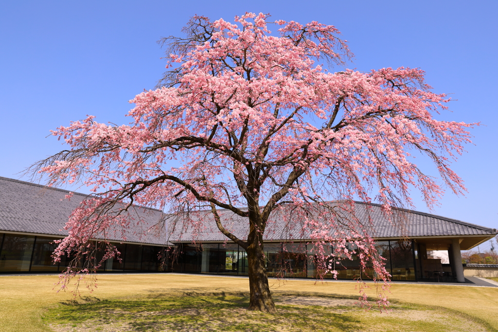 富山県水墨美術館