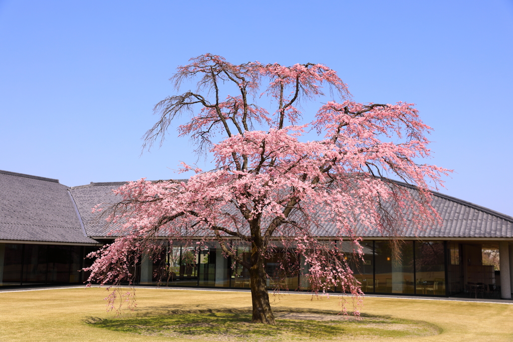 富山県水墨美術館