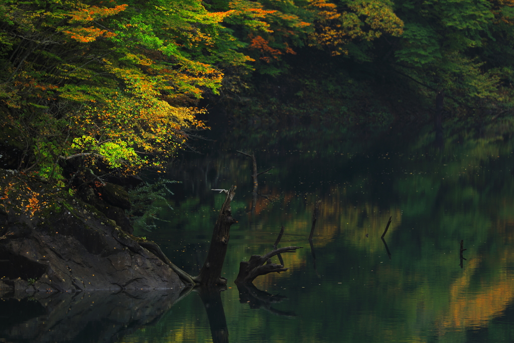 水殿ダム湖